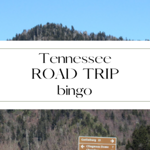 Tennessee Road Trip Bingo